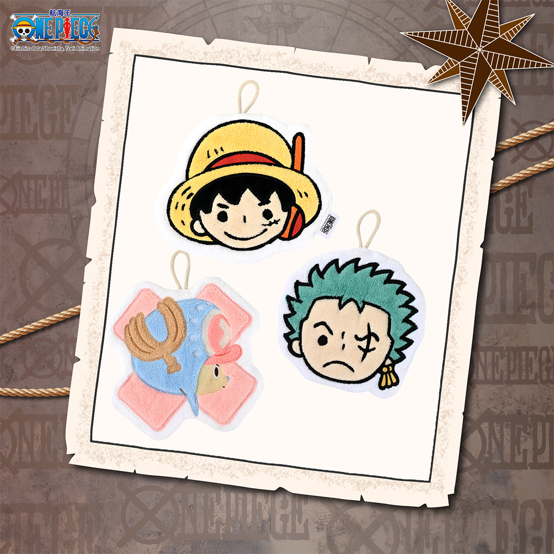 One Piece - EXPERIENCE 11