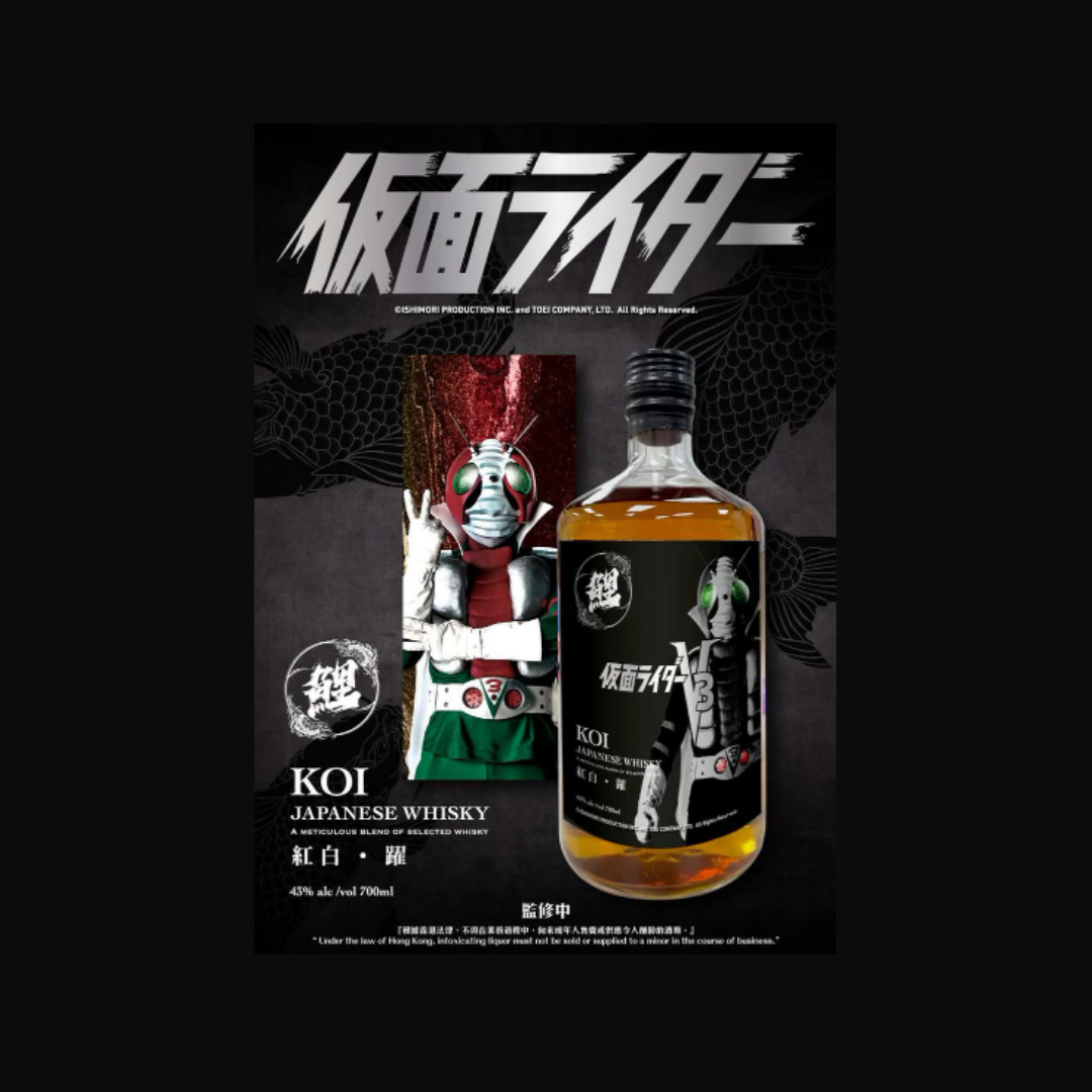 Kamen Rider - Experience 11